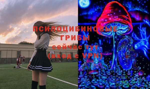 ГАЛЛЮЦИНОГЕННЫЕ ГРИБЫ Аркадак